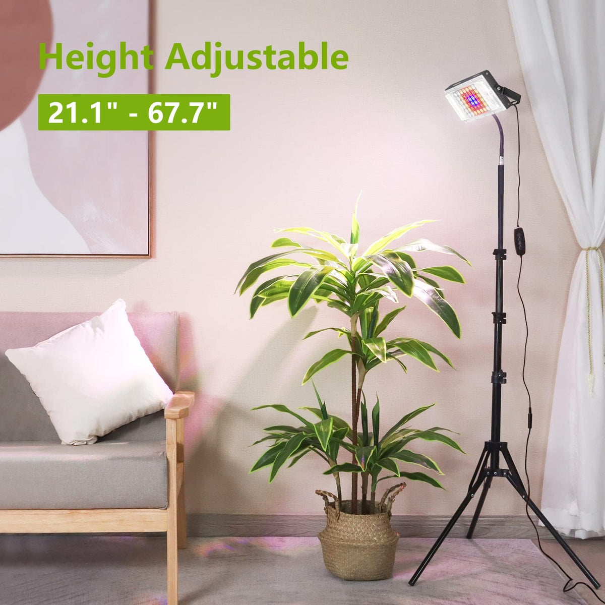 LBW Tall plant setup suits tall indoor plants and shelves.