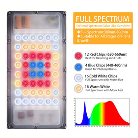 LBW grow light in use among indoor plants