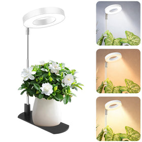LBW grow light base for indoor plants to save space