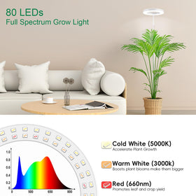 LBW Light with auto timer simplifies schedule for indoor plants