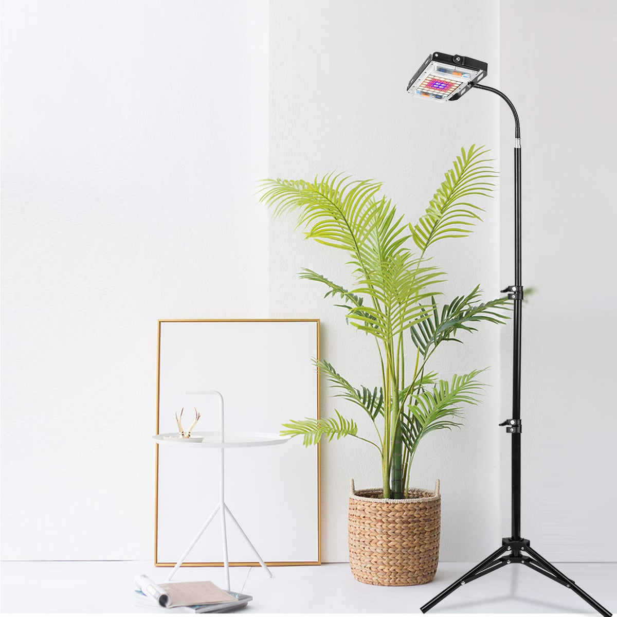 LBW grow light stand extended to demonstrate height range