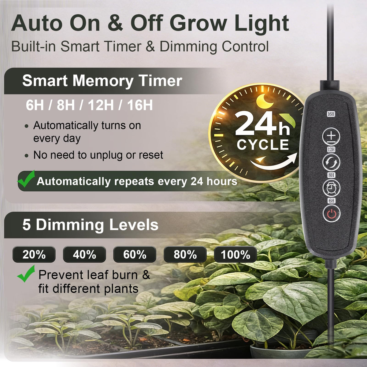 LBW Grow Light provides targeted lighting for tall indoor plants with stable positioning.
