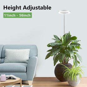 LBW grow light with telescopic pole enables tall plant coverage.