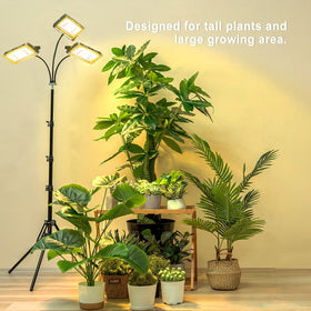 LBW provides three modes and six brightness levels for various growth stages