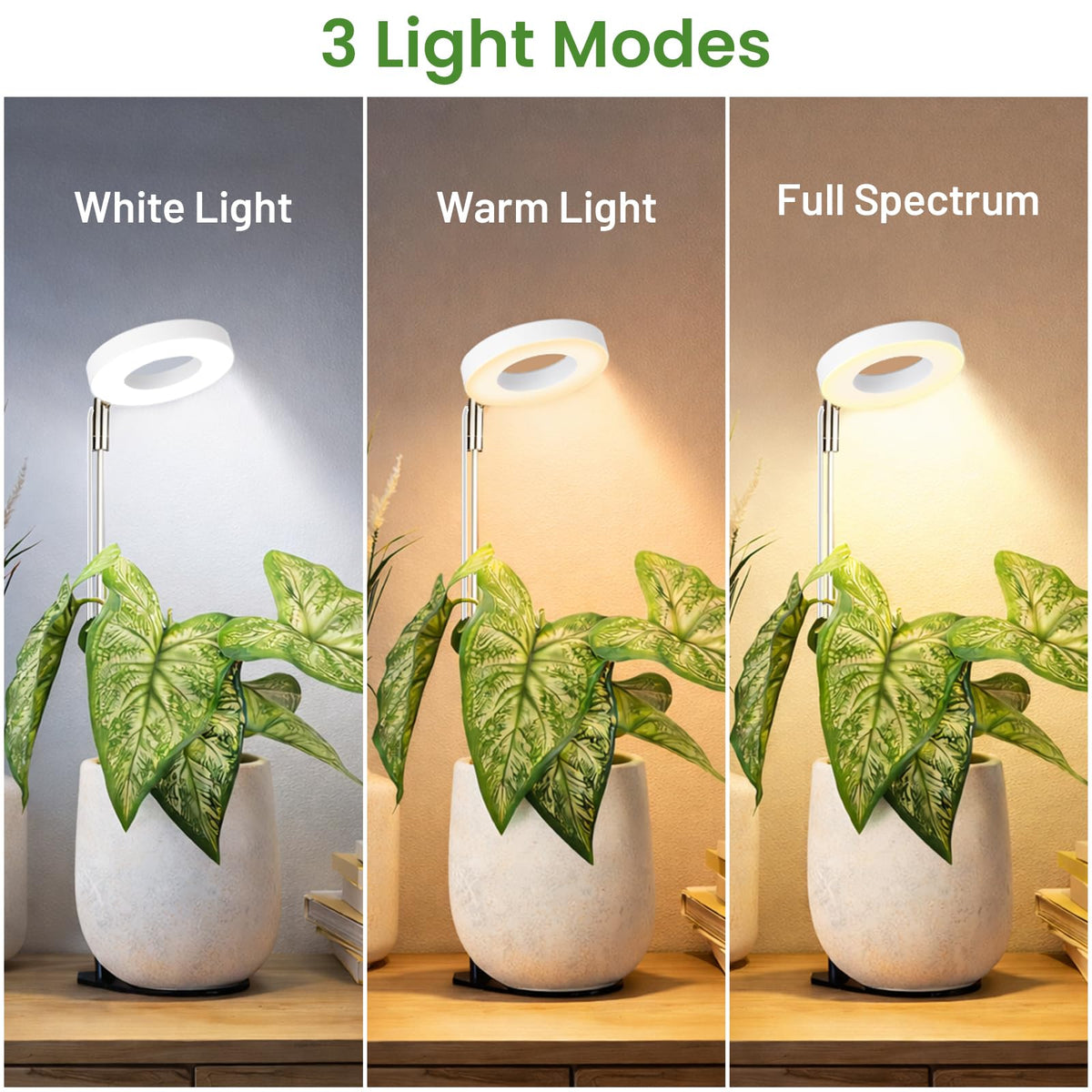 LBW grow light timer 6-8-12-16 hours automates care