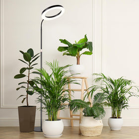 LBW six dimmable brightness levels let you tailor output.