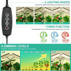 LBW three lighting modes support various growth needs.