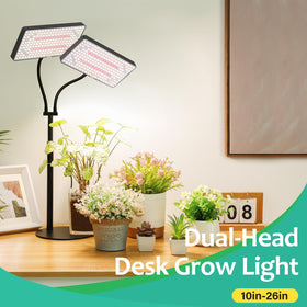 LBW desk light timer mode enables easy day-night scheduling.