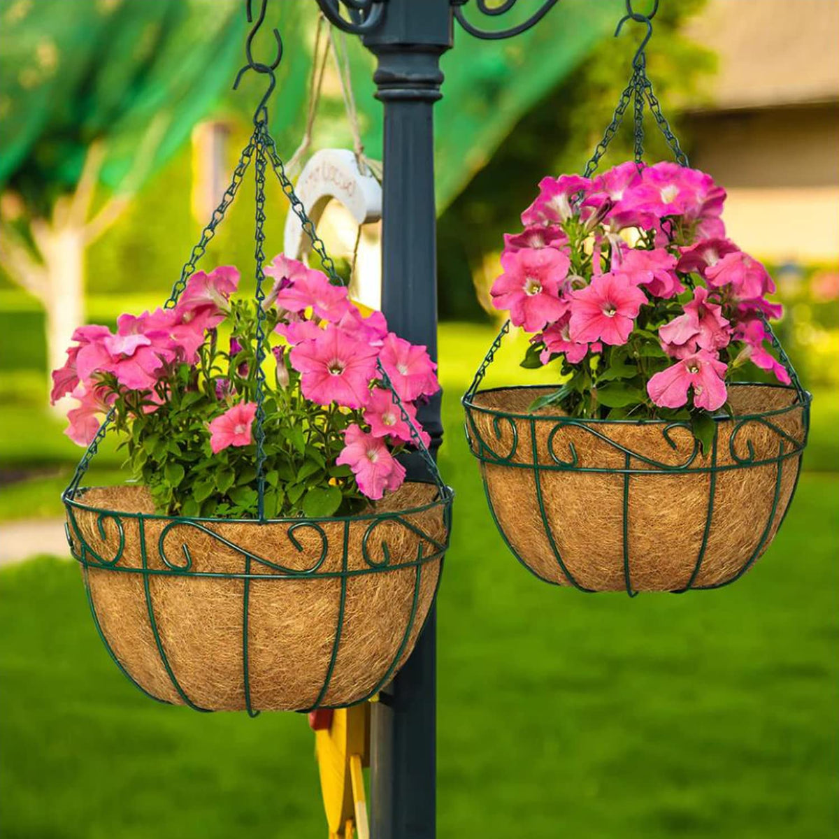 LCHUANG 12in coco liner great for flowers and vegetables in balconies.