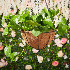 LCHUANG hanging planters add charm to weddings or seasonal displays.