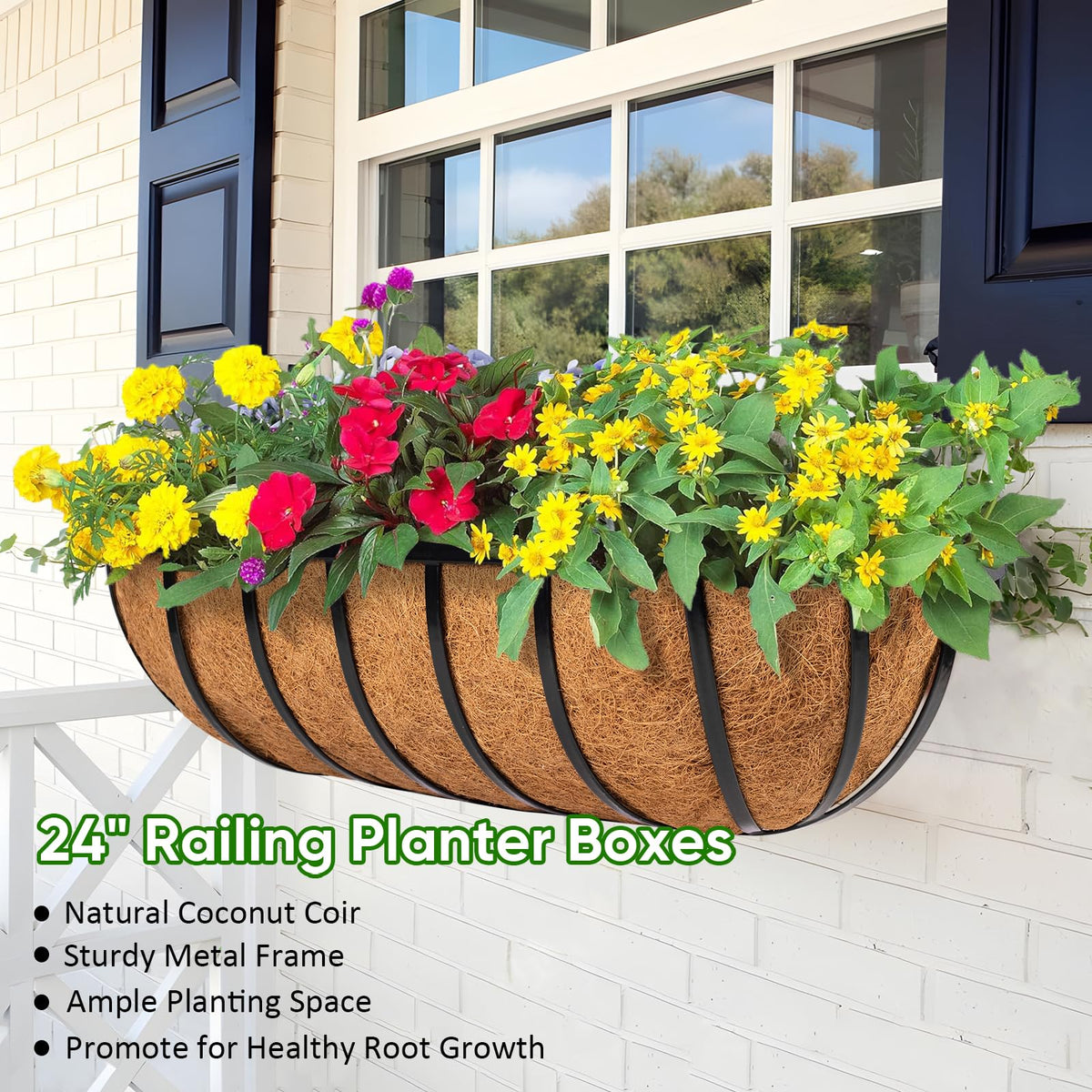 LCHUANG hanging baskets with coconut liner support healthy root growth.