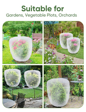 LCHUANG netting protects blueberries from birds and pests