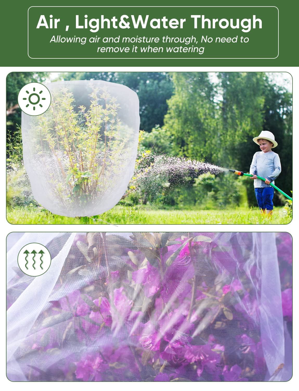 LCHUANG netting shields tomato plants while watering