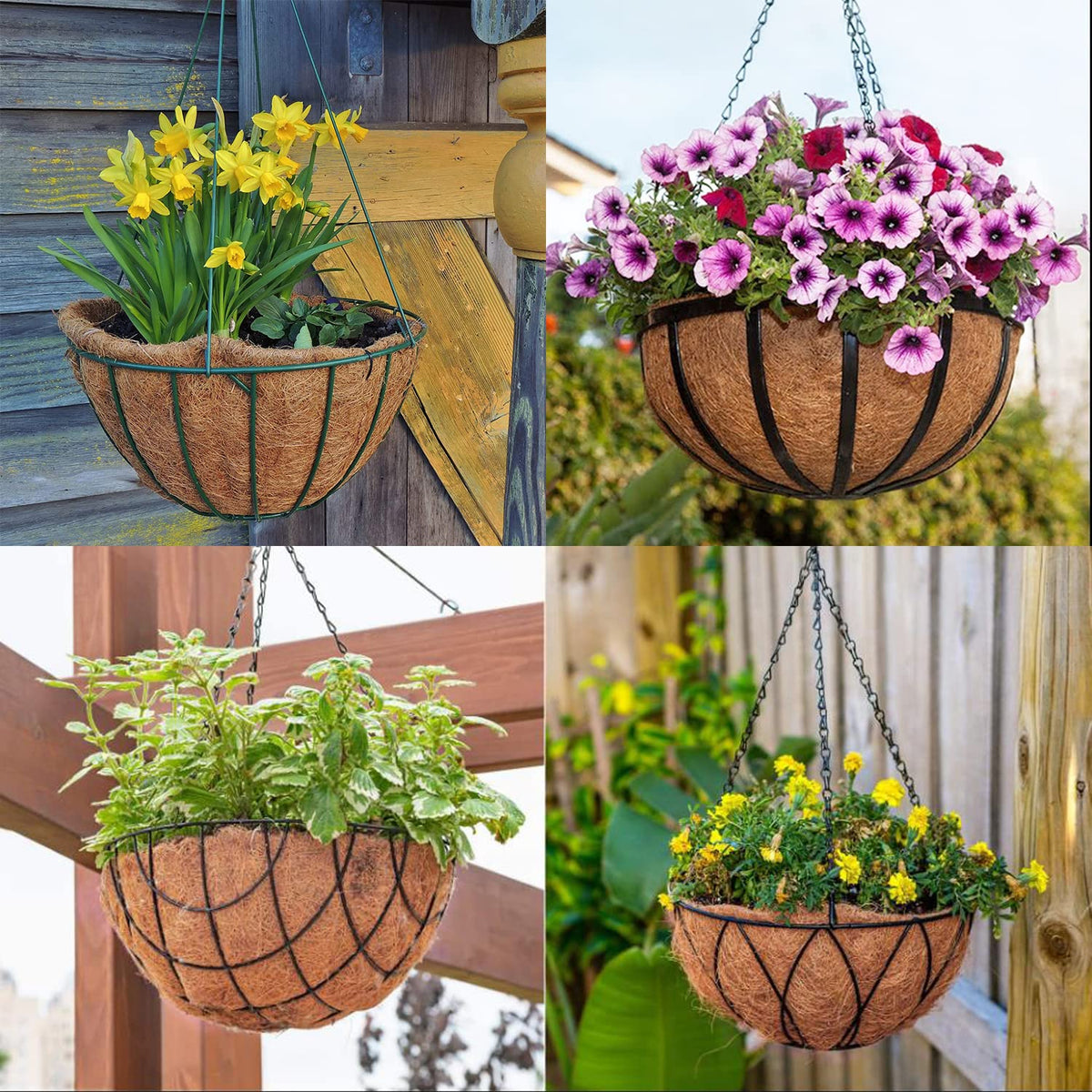 LCHUANG round coconut liner 12in adds a natural, tidy look to garden decor.