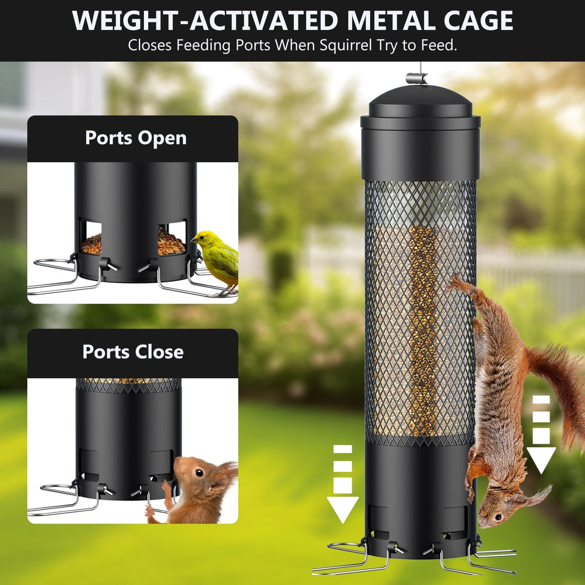 LCSEVEN metal cage feeder withstands weather and resists chewing