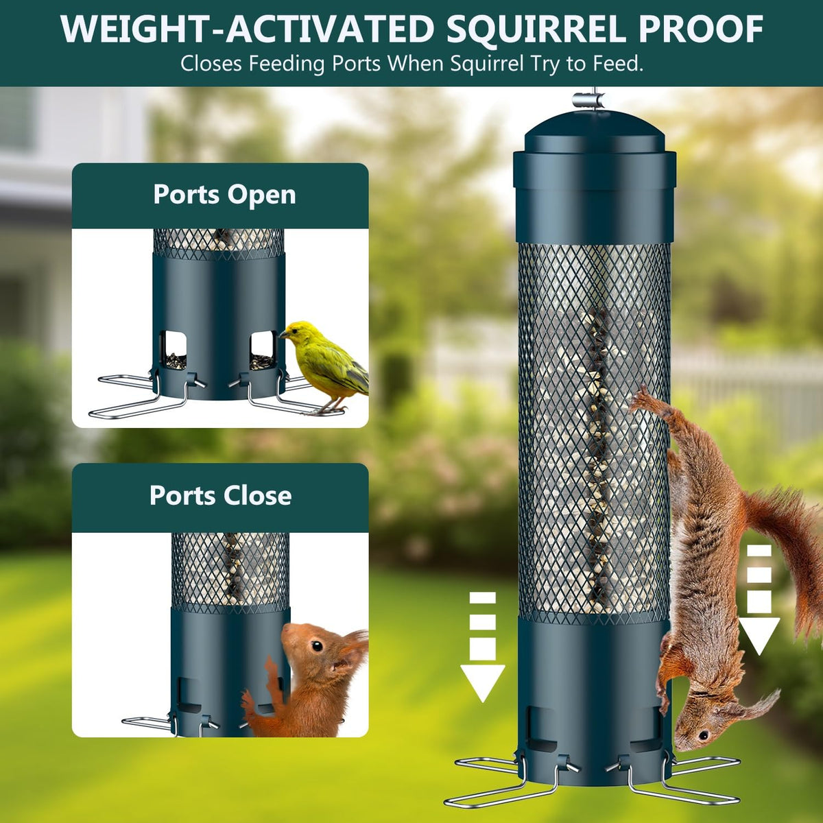 LCSEVEN weight-activated perches ensure only birds feed.