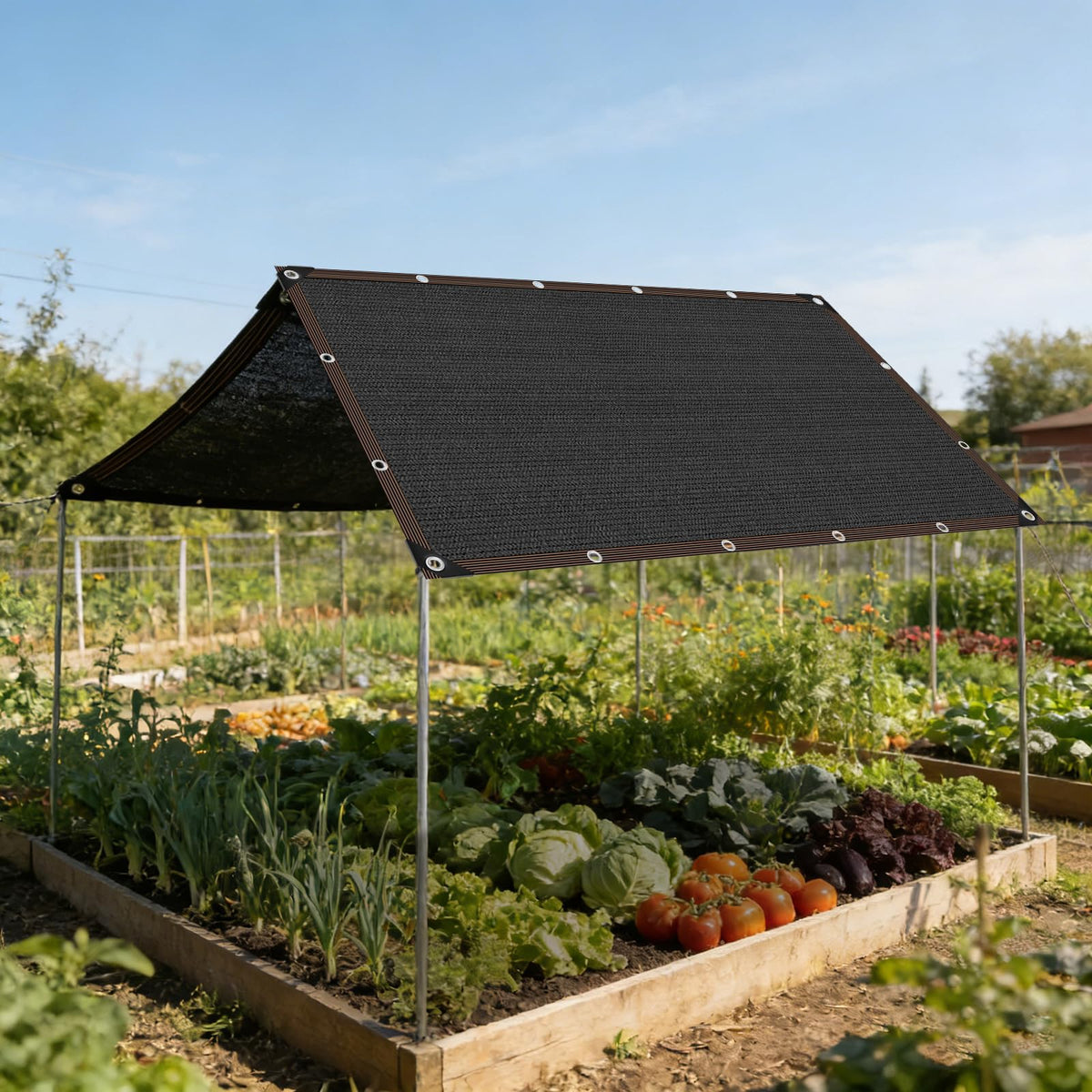 LCYFBE garden shade netting blocks UV rays while maintaining airflow