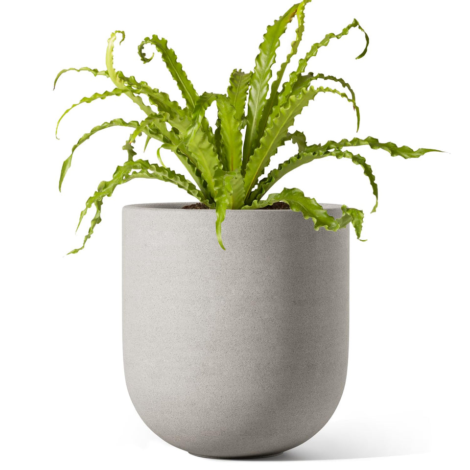 LE TAUCI 6-inch ceramic planter showcasing a clean, compact pot for small plants.