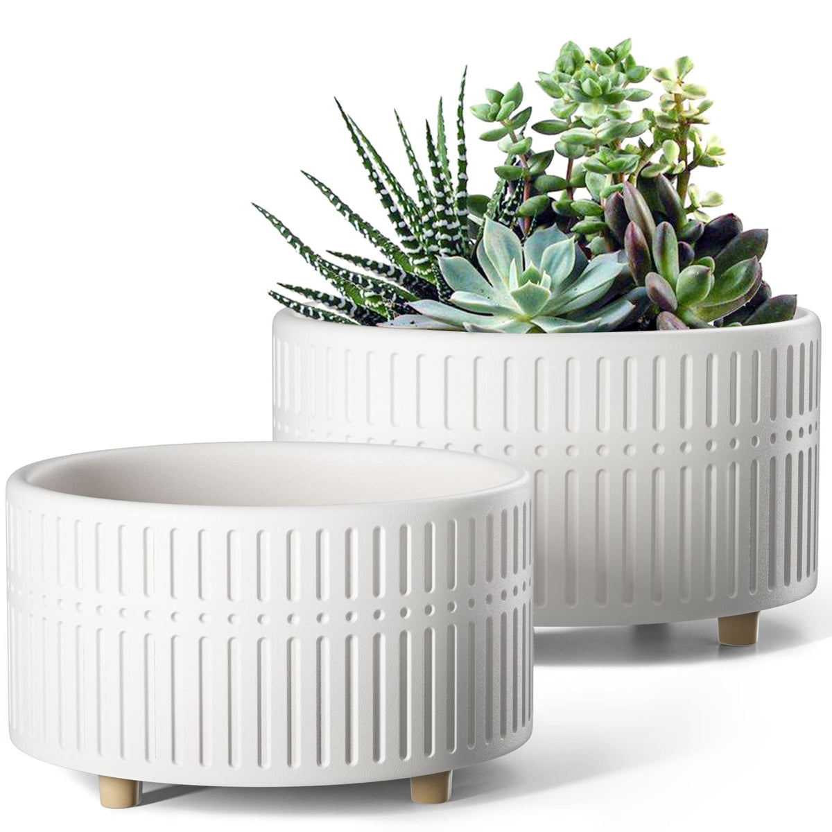 LE TAUCI 8-inch succulent pot with shallow round silhouette promotes airflow around roots.