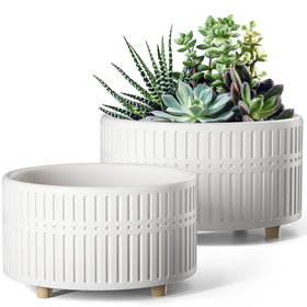 LE TAUCI 8-inch succulent pot with shallow round silhouette promotes airflow around roots.