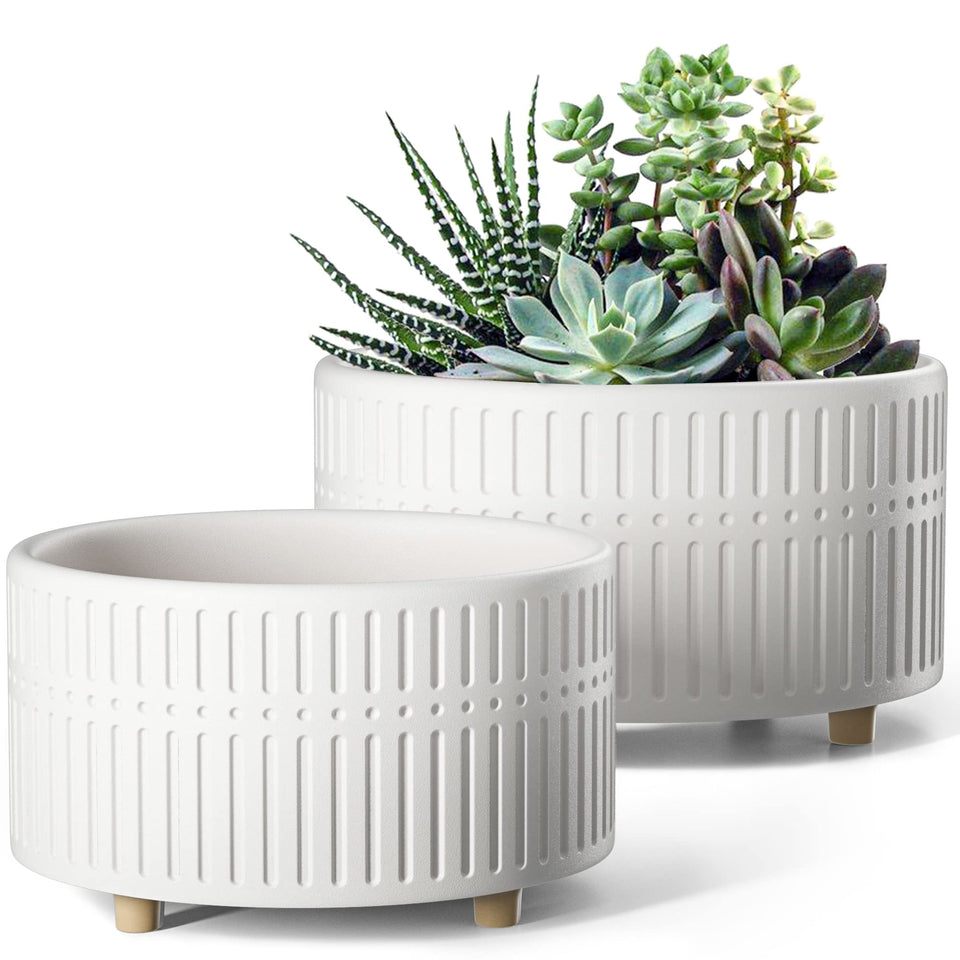 LE TAUCI 8-inch succulent pot with shallow round silhouette promotes airflow around roots.