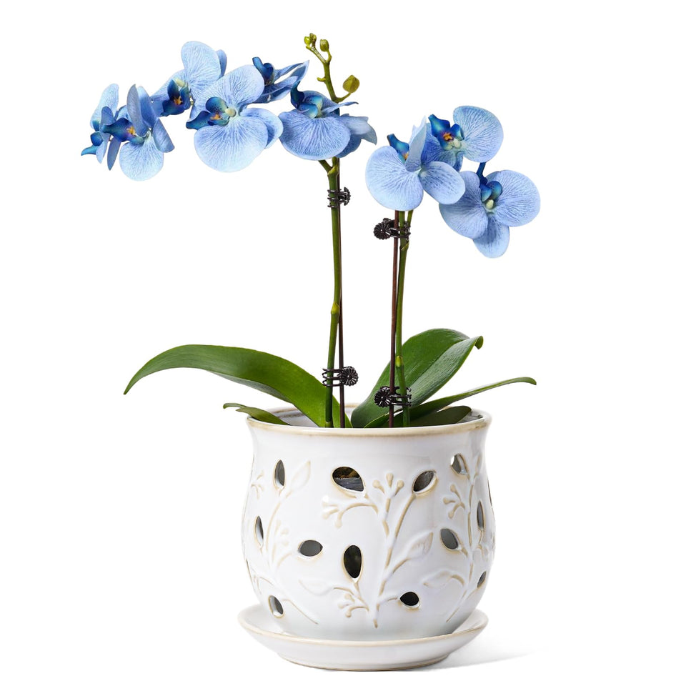 LE TAUCI orchid pot Arctic White front view highlights timeless design