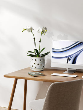 LE TAUCI orchid pot Arctic White saucer included to prevent water runoff