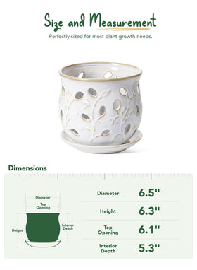 LE TAUCI orchid pot Arctic White with orchid plant for indoor display