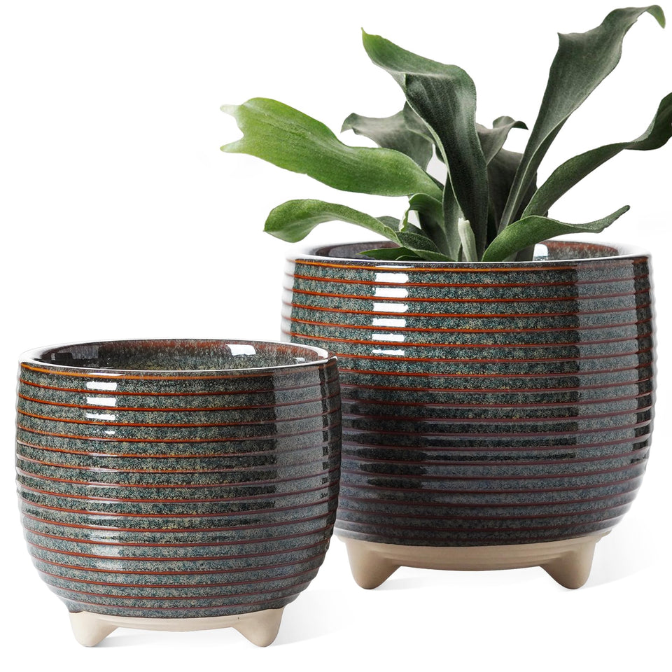 LE TAUCI ceramic plant pot 6.4 inch with drainage for healthy roots.