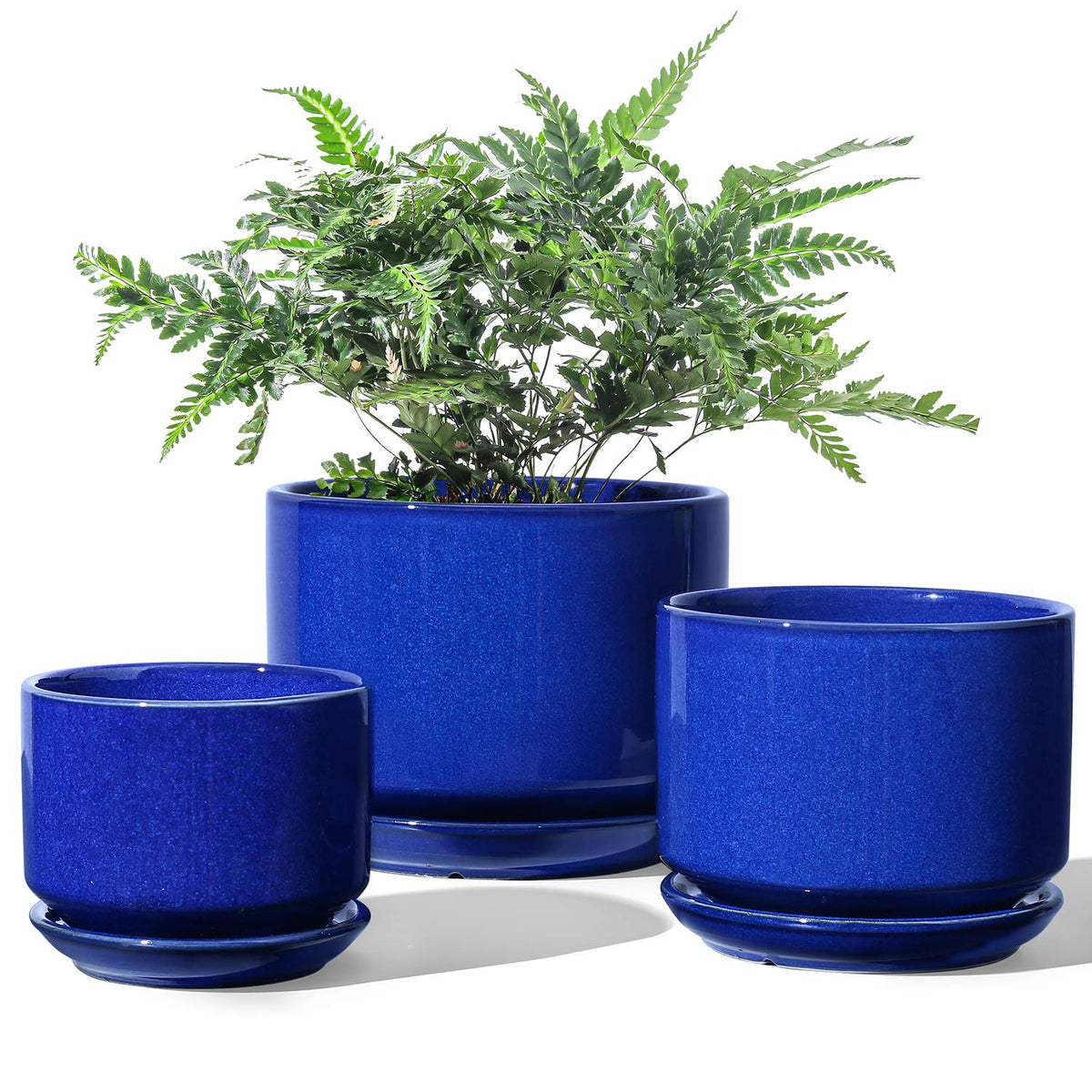 LE TAUCI large ceramic plant pot in sapphire glaze for statement indoor plants