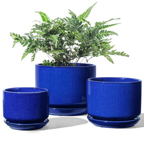 LE TAUCI large ceramic plant pot in sapphire glaze for statement indoor plants