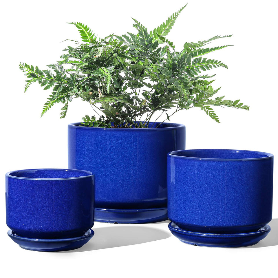LE TAUCI large ceramic plant pot in sapphire glaze for statement indoor plants