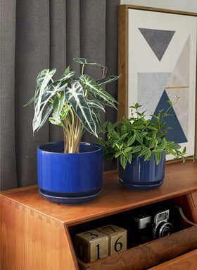 LE TAUCI medium ceramic plant pot with drainage for kitchen herbs