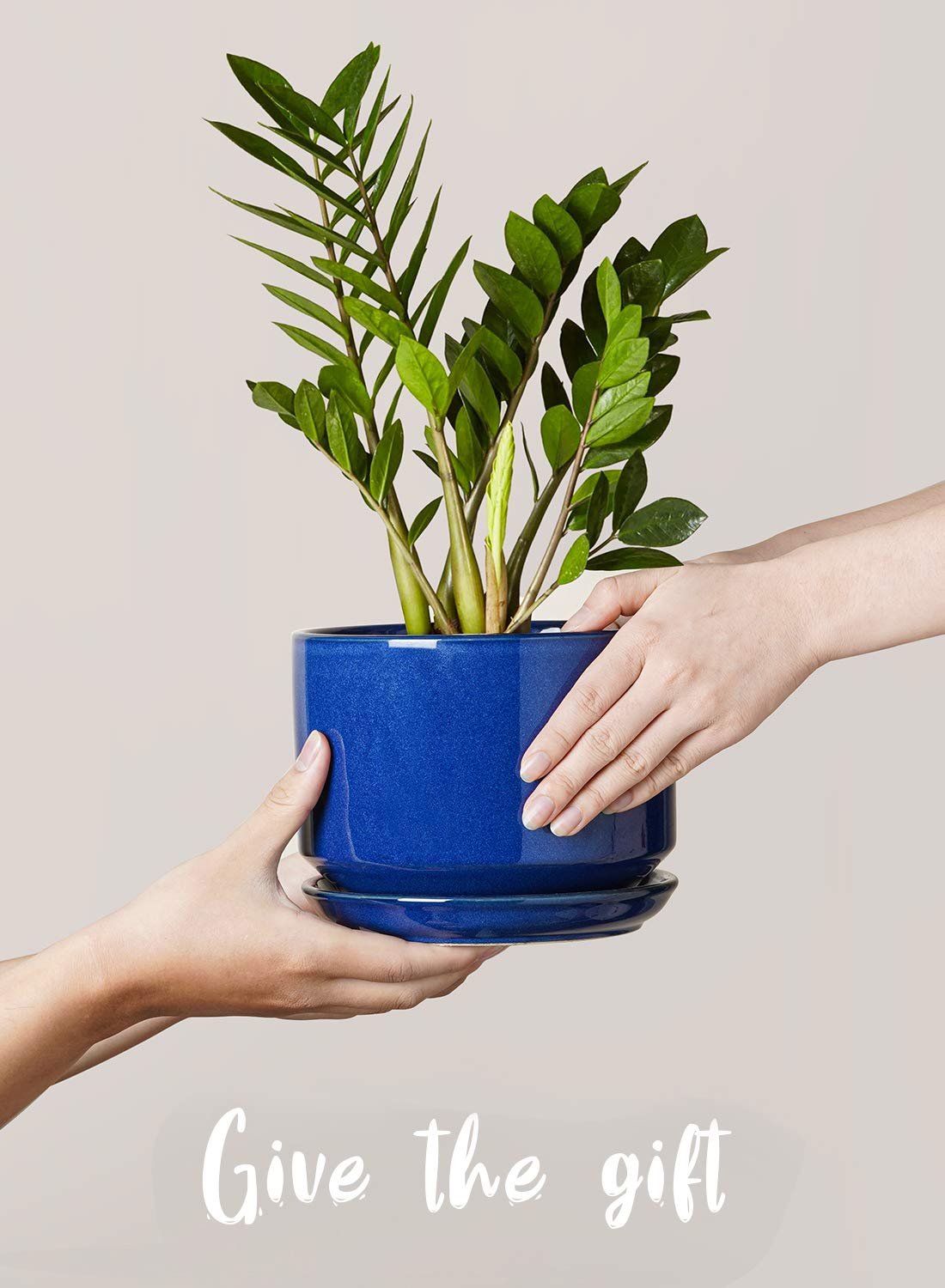 LE TAUCI modern ceramic planters complement contemporary décor