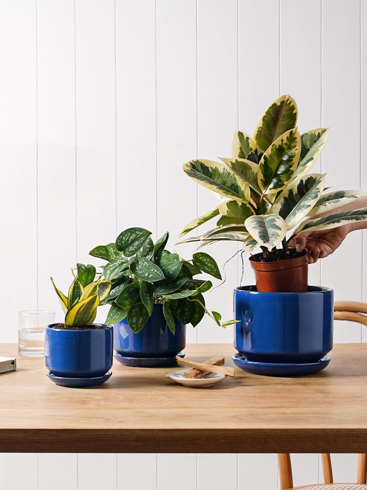 LE TAUCI sapphire blue glaze plant pot with variegated color detail