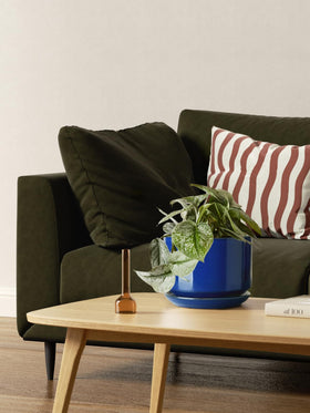LE TAUCI small ceramic plant pot suited for succulents on a desk