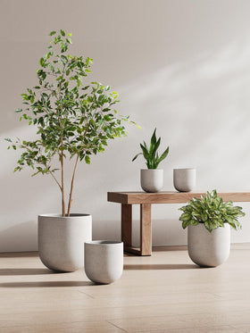 LE TAUCI planter placed on a shelf in a modern space.