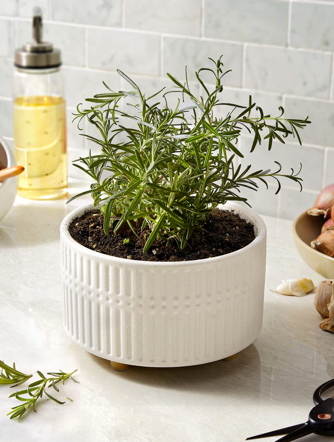 LE TAUCI ceramic planter with drainage hole ensures clutter-free soil management.
