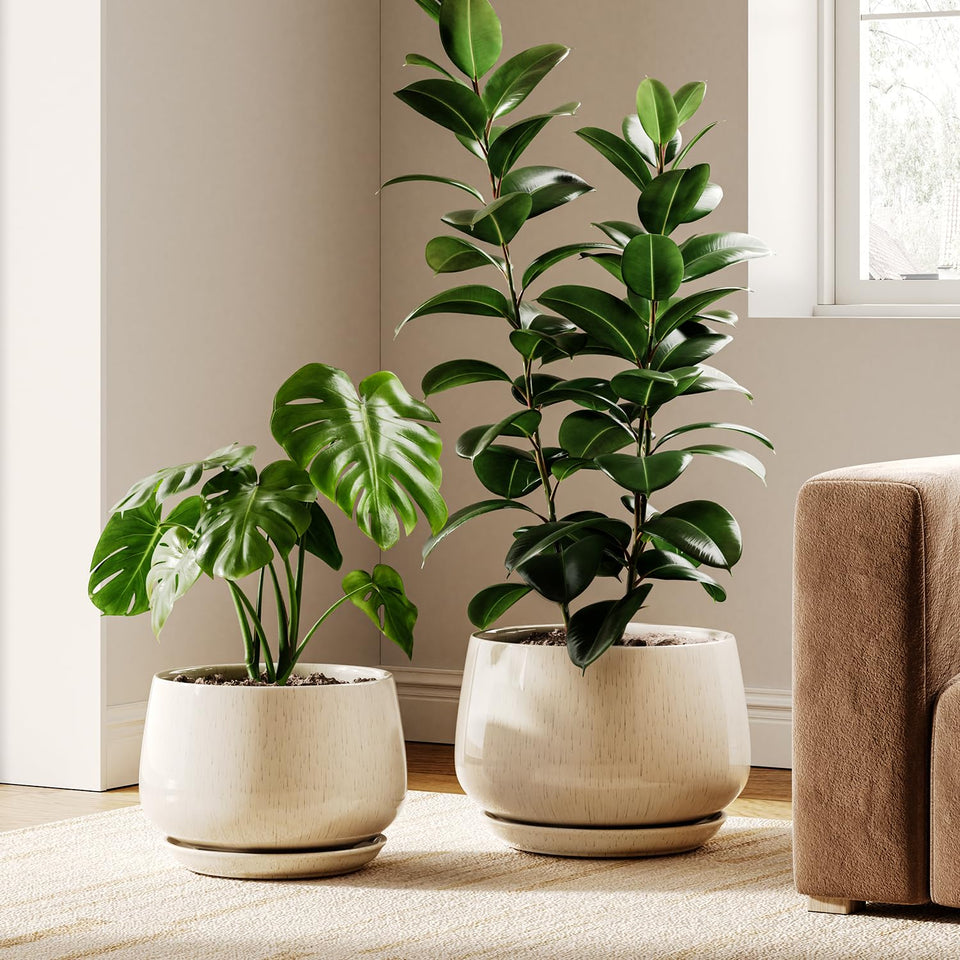 LE TAUCI 10-inch ceramic pot with reactive glaze for stylish indoor displays.