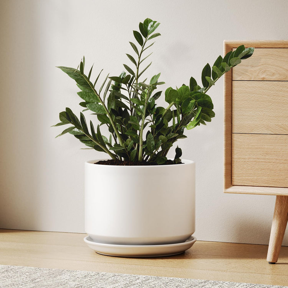 LE TAUCI ceramic pot with drainage hole and saucer for tidy watering and soil containment