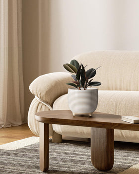 LE TAUCI 5.1-inch footed ceramic pot for compact succulents and herbs.
