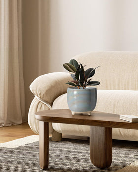 LE TAUCI ceramic pot 5.1 inch small perfect for succulents and herbs on desks.