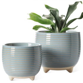 LE TAUCI ceramic pot 6.4 inch with drainage ideal for larger indoor plants and moisture control.