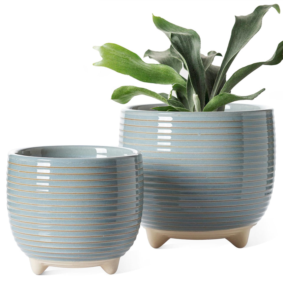 LE TAUCI ceramic pot 6.4 inch with drainage ideal for larger indoor plants and moisture control.