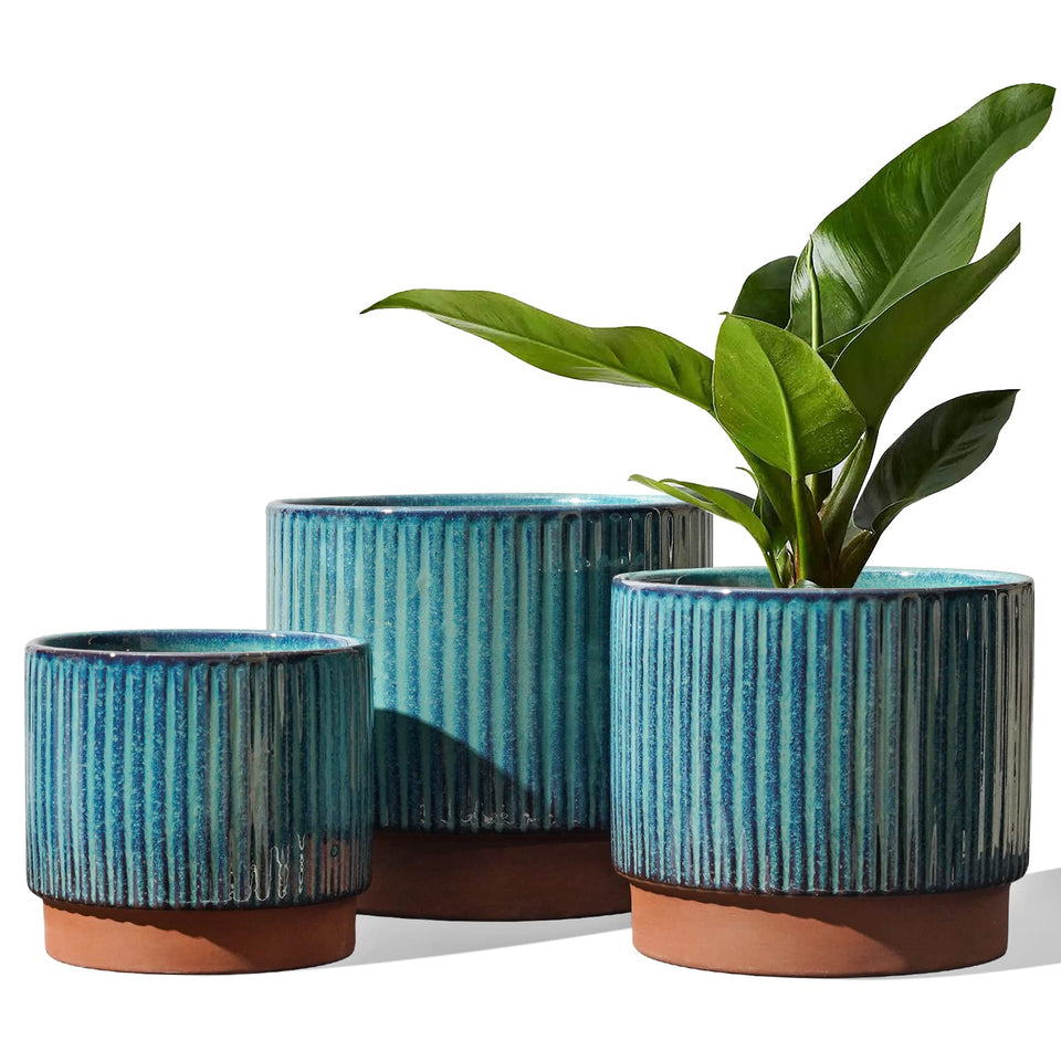 LE TAUCI ceramic pot with drainage holes promotes proper watering.