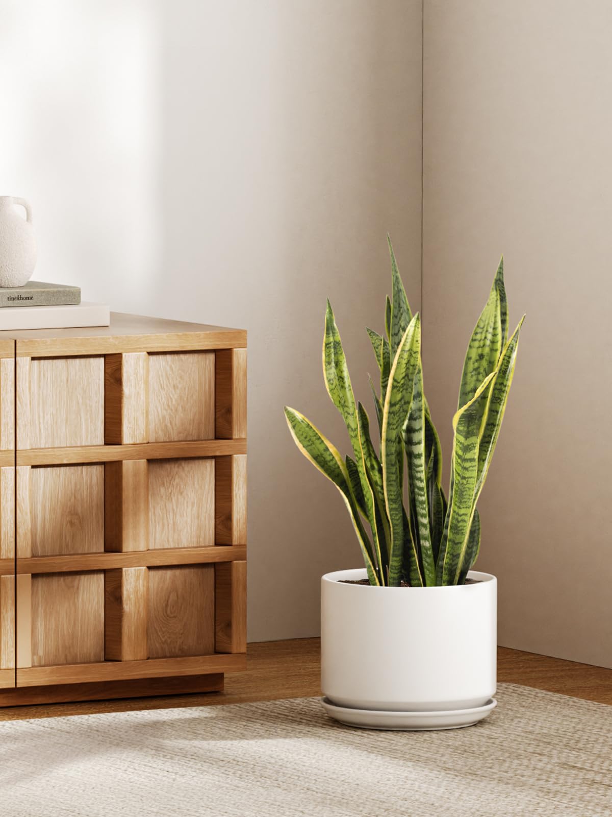 LE TAUCI pot with sturdy weighted base enhances stability of top-heavy plants