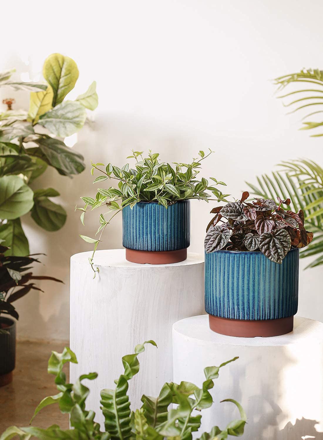 LE TAUCI ceramic pot mesh pad keeps soil in place during watering.