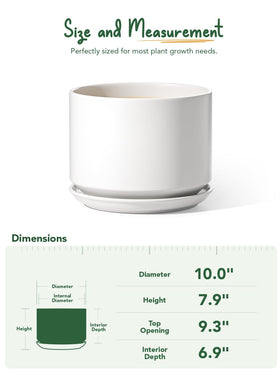 LE TAUCI pot features premium glazed finish for durability and easy cleaning