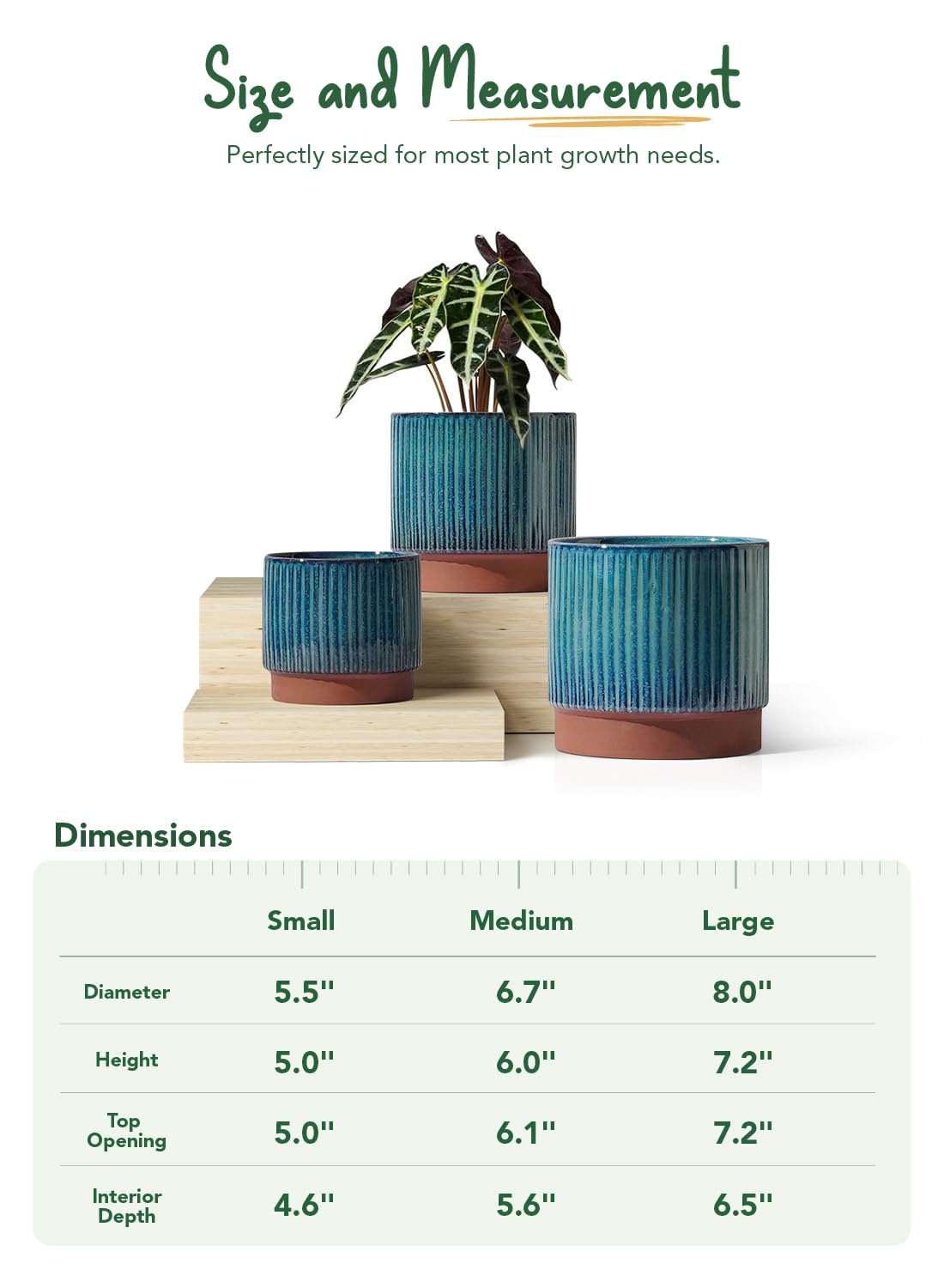 LE TAUCI ceramic pot round succulent design suits small plants well.