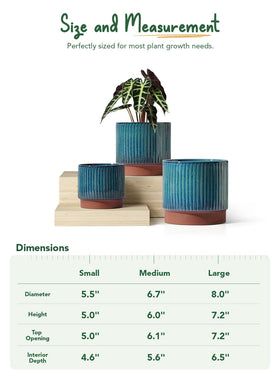 LE TAUCI ceramic pot round succulent design suits small plants well.